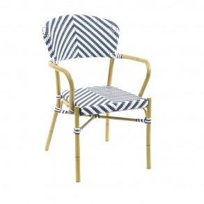 Zebra_Blue