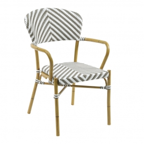 Zebra_Gray